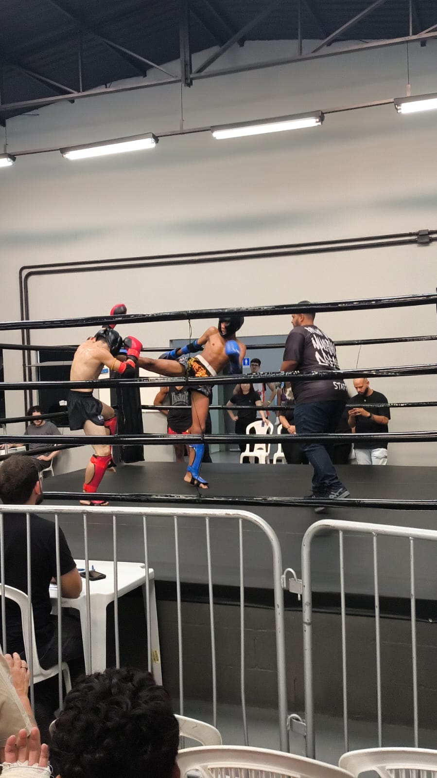 Lutador em combate